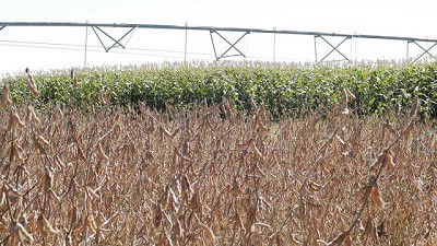 Impulsan el riego de precisión con sistemas de dosis variable