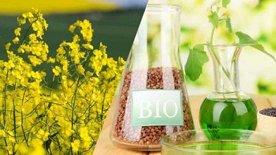 IICA publicó el Atlas de los biocombustibles líquidos 2020-2021