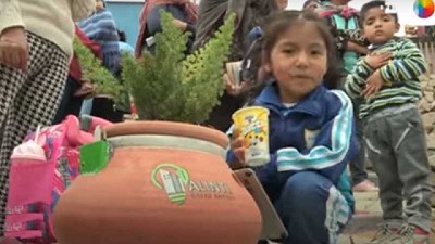 Alinti, el macetero que da luz y energía con base a plantas y microorganismos