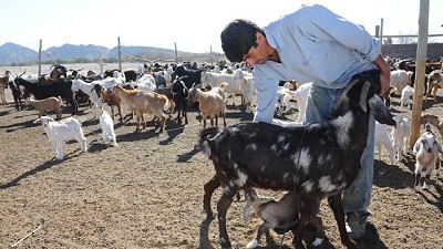 En Seclantás, familias campesinas inauguran el primer matadero provincial