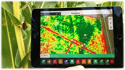 Agricultura digital para liderar la producción pensando en cada ambiente