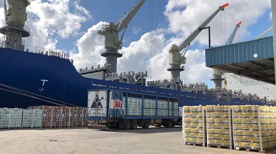 El Ministerio de Agricultura certificó embarque histórico de cítricos argentinos