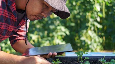 Blockchain: Incorporar a los pequeños y medianos productores a las nuevas tecnologías es fundamental para cerrar brechas en la producción agrícola