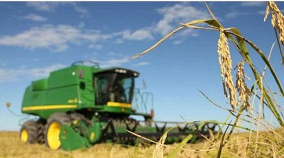 Industria arrocera busca solución a caos logístico