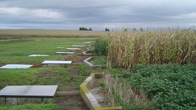 Estudian cuánto suelo se pierde por escurrimiento