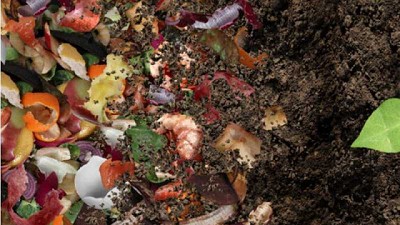 ¿Qué es el compostaje pasivo o frío? Cuándo y por qué puede ser útil