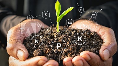 Verdesian revoluciona el mercado en tratamiento de fertilizantes con un modelo de negocios innovador