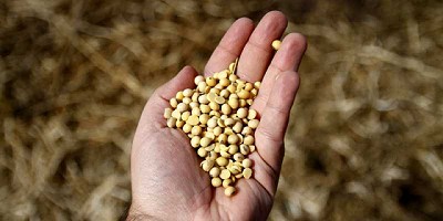 El sector apuesta a una producción agrícola importante el próximo año, pero el clima y los precios internacionales pueden complicar