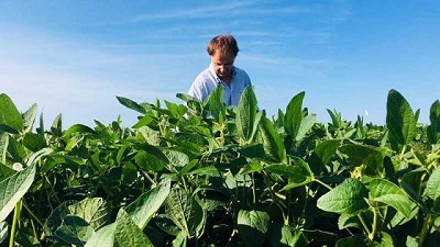 Agidea Y Ojos del Salado anuncian una alianza estrategica para desarrollar herramientas que mejoren los diagnósticos en la nueva agricultura