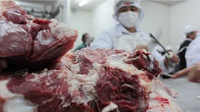 Nivel de faena respalda al optimismo del productor