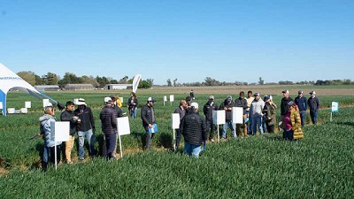 Rizobacter y Bioceres Semillas muestran el potencial  de sus tecnologías unidas en experiencias a campo