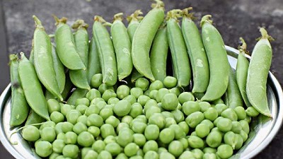 Arvejas: las proteínas vegetales que ganan terreno