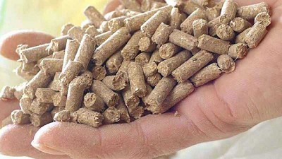 Cargill y BASF profundizan su alianza para proveer soluciones innovadores en la nutrición ganadera