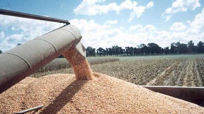 Proyecciones de rentabilidad para la campaña agrícola 2021/2022 en Córdoba