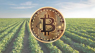 Adecoagro, GDM y Molinos agro realizaron las primeras transacciones de semillas y reconocimiento de regalías extendidas con Agrotokens