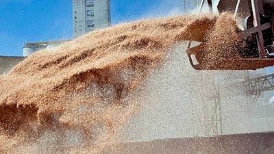 ¿Se viene la recuperación en el precio de la soja y maíz?, por Ruben J. Ullúa