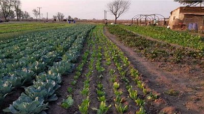 Andino sancionó una ordenanza que impulsa la producción agroecológica