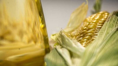 Presentaron manuales para gestionar el balance de carbono