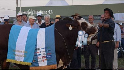 Braford: Cabaña Pilagá y Marcaojo son los Grandes Campeones