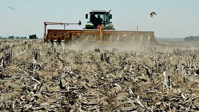 Mirada global, perfil exportador, eficiencia y tecnología. Este es el sector que prospera pese a las crisis