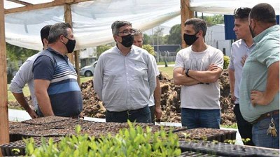 Impulso a la producción forestal de General Rodríguez