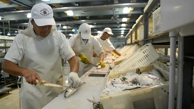 Pesca: Modificaciones en la estructura arancelaria del sector