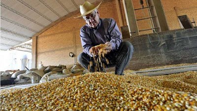 La ciencia confirma que los transgénicos son igual de sanos que el resto de alimentos