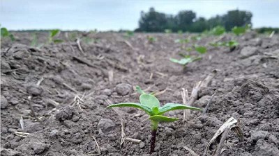 Por el aumento de costos, cae el resultado bruto para el productor en la 2021/22