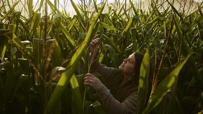 TalentA otorgará herramientas de capacitación y más de $2 millones en premios