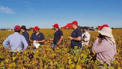 Producido en Argentina, el fungicida Onsuva™ hizo su debut en Paraguay