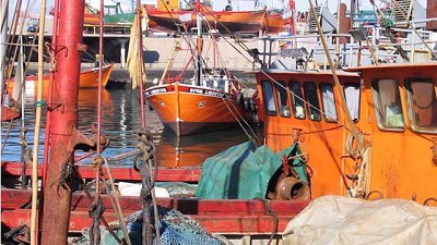 Comienza a regir la obligatoriedad de la Guía de Tránsito Electrónica Pesquera