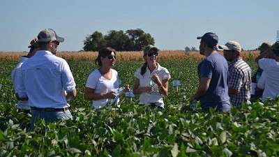 Aumento en la eficiencia del uso de nutrientes