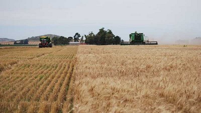 Presentan un visualizador económico para producciones agropecuarias