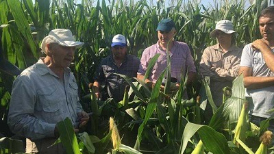 Colaboración, modelos agronómicos y tokenización