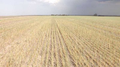 El sur bonaerense en alerta por el avance de la erosión