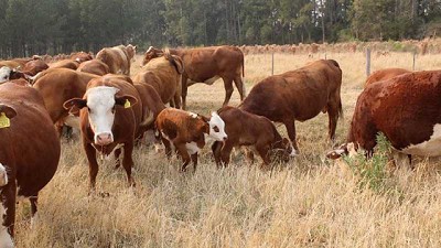 Servicio estacionado para una producción controlada y eficiente