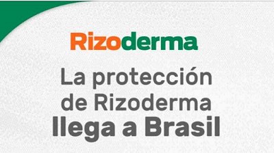 Rizobacter se prepara para crecer en Brasil con la aprobación de su biofungicida