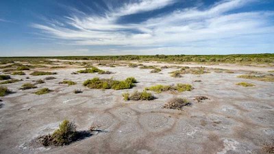 El INTA elaboró el primer mapa de suelos afectados por sales