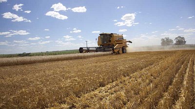 El agro, la construcción y la sustitución de importaciones empujan la actividad industrial, ¿podrá sostenerse el proceso?