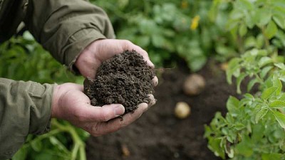 BASF lanzará el Programa Global de Agricultura Baja en Carbono que permitirá a los productores reducir sus emisiones de CO2