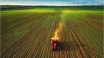 FAO advirtió de la amenaza de la salinización del suelo para la seguridad alimentaria mundial