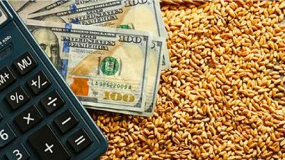 Trigo y dólar, dos monedas en el aire que empiezan a caer, por Hernán Fernández Martínez