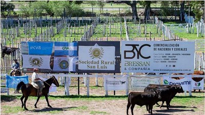 La Rural de San Luis cerró con éxito su tercer Concurso de Novillo Gordo en Pie