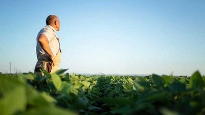 Sector privado venezolano produce un milagro agrícola en el país