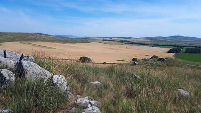 Pastizales serranos: Advierten sobre impactos negativos de manejos agronómicos