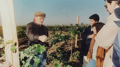 Pozo de los Algarrobos y sus vinos 