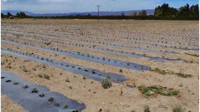Argentina: Especialistas opinan de la crisis hídrica de San Juan