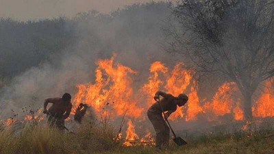 AFoA pronunció un alerta roja por los incendios forestales