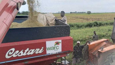 Las máquinas argentinas nutren un proyecto en África