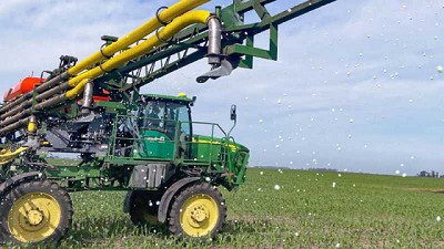 Altina le encuentra la vuelta al bicho bolita